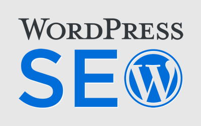 Guía para hacer SEO en WordPress  