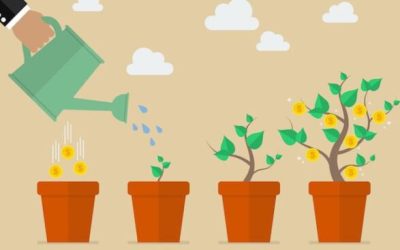 Nurturing Marketing: ¿De qué se trata? ¿Por qué usarlo?